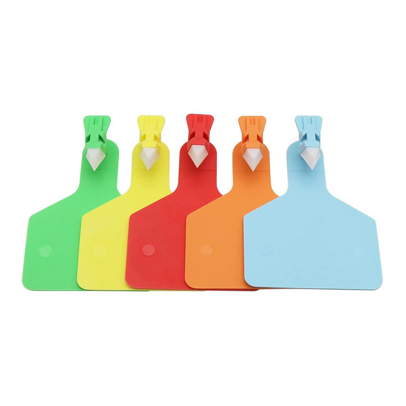 Galvijams integruotas ausų įsagas TPU tuščias numeris būrų ožkos karvės ausies įsagas ranka parašyta savavališka ūkio gyvūnų informacija 5 vnt. 62*82 mm