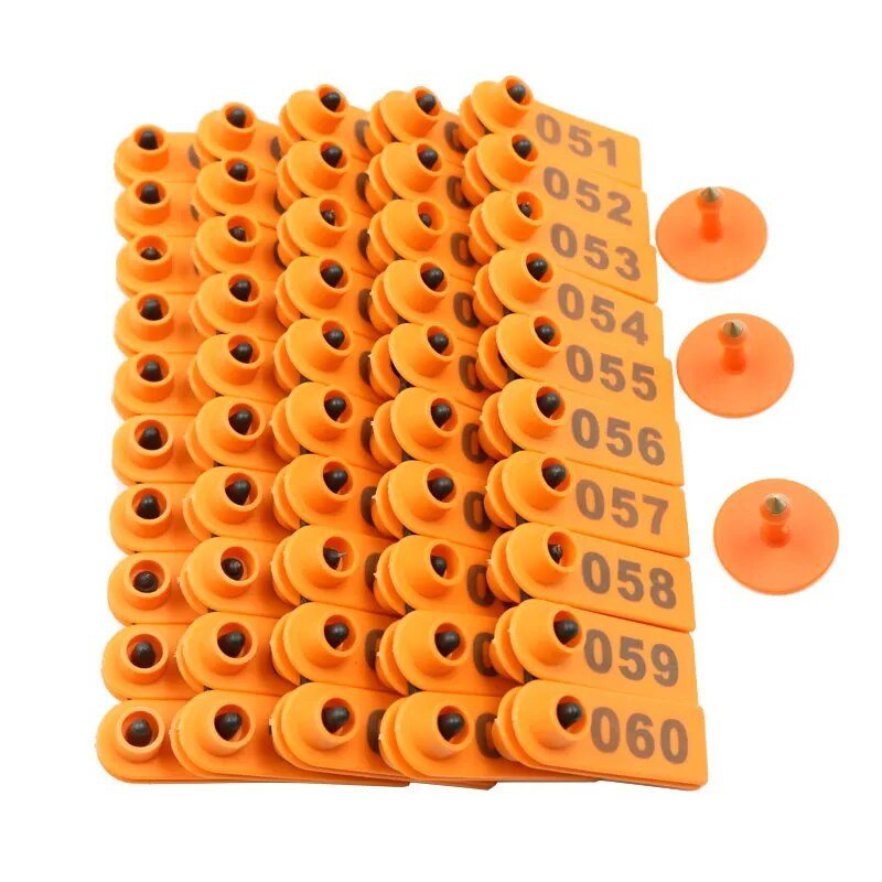 100 komplekti aitas ausu marķējuma zīmes ar vārdu Auss, lāzera rakstīšana vara galvas auskari Lauksaimniecības dzīvnieku kvalitātes plastmasas identifikācijas karte