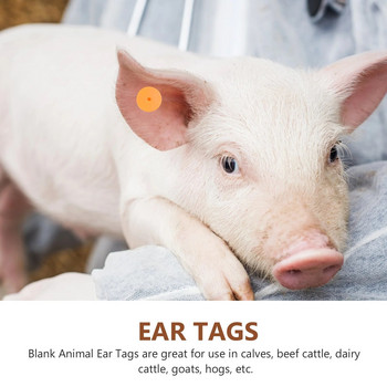 100 σετ Ετικέτες αυτιών ζώων Φάρμας Ετικέτες αναγνώρισης ζώων Κενές ετικέτες αυτιών