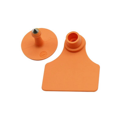 10 készlet TPU anyagú juh fülcímkék disznó üres jelkártya réz fej fülbevaló haszonállat azonosító kártya