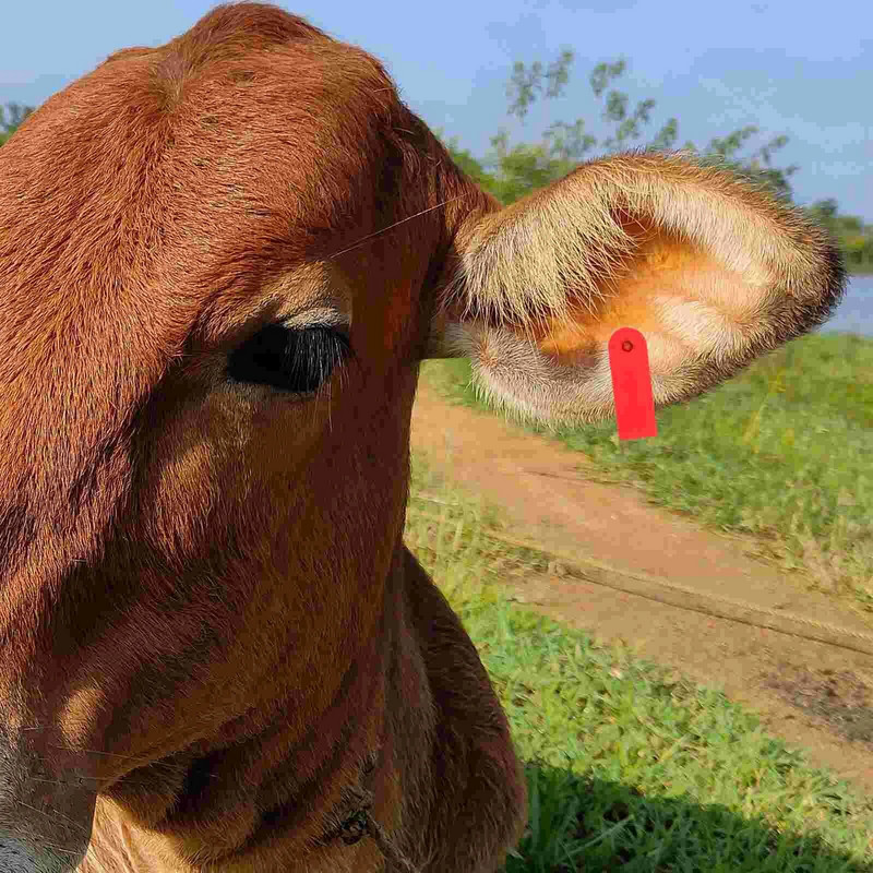 100 komada životinjskih ušnih markica za stoku i stoku, kravlje ušne markice, identifikacijske TPU oznake