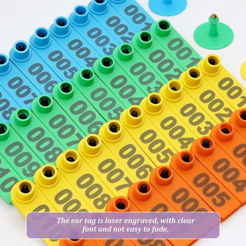 Nr 1-500 lamba kõrvasildid sõnaga kõrva lasertrükkimine vaskpea kõrvarõngad talulooma identifitseerimiskaart 100 tk