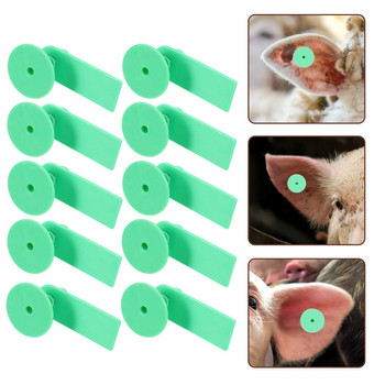 100 σετ λευκές ετικέτες αυτιών ζωικού κεφαλαίου Ετικέτα αναγνώρισης ζώων Κτηνιατρικά προμήθειες
