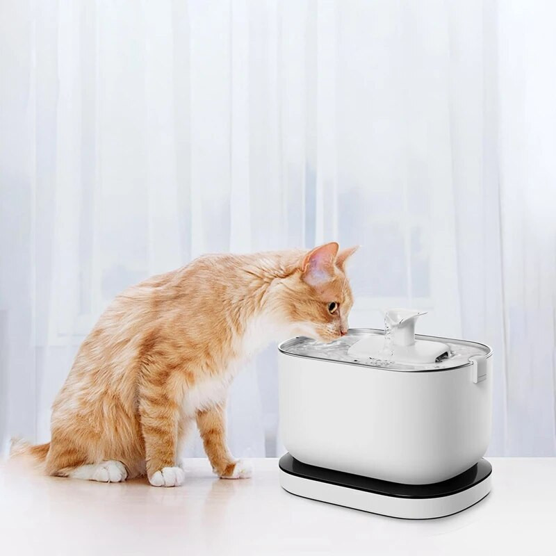 12 komplekti asendusfiltrit Dockstreami juhtmevaba kassi purskkaevu PLWF005/PLWF115/WF105 jaoks, lemmikloomade purskkaevu filtrid