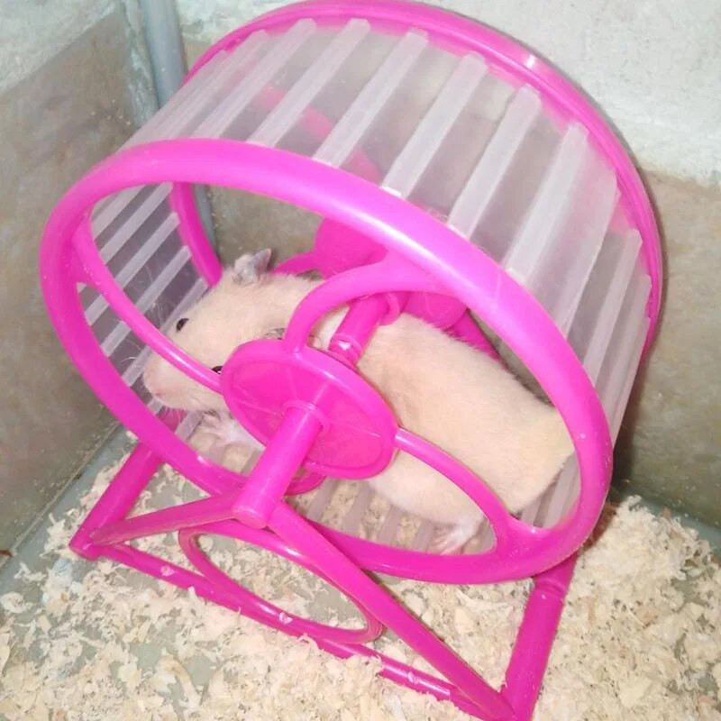 1 izmēra plastmasas mazs mājdzīvnieku kāmju sporta skriešanas ritenis Rotaļlieta Žurka Vingrošanas Rotaļlietas Kāmju būris Aksesuāri Mazo dzīvnieku piederumi Rueda