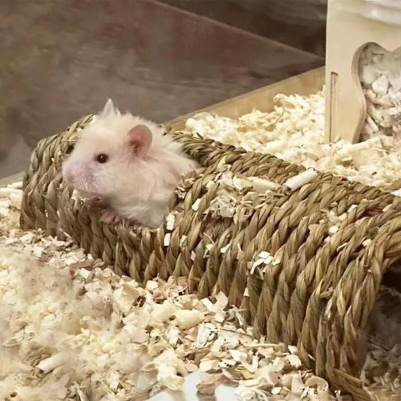 Kāmja tuneļa rotaļlieta, dabiskas zāles tunelis Kāmja plaša ligzda iekštelpu mājdzīvnieku slēptuves būda mazo dzīvnieku aktivitāšu centrs holandiešiem