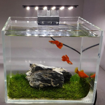 5 W ултратънка светодиодна лампа за аквариум Ултра ярка лампа за осветление на аквариум с щипка 12 бр. 5730 светодиода за аквариумни рибки EU Plug