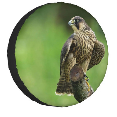 Peregrine Falcon Birds Navlaka za rezervni kotač Univerzalna prikladna za Jeep Mitsubishi 4WD SUV Prilagođena zaštita za gume automobilskih inča