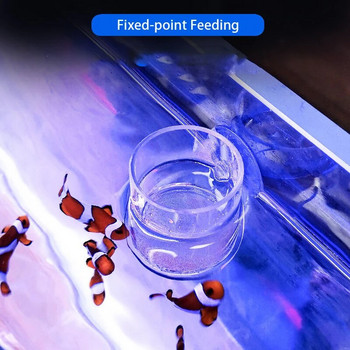 Прозрачна Arcylic Хранилка за аквариумни рибки Anti-drift Shrimp Egg Fish Food Пръстен за хранене Betta Fish Tank Чаша за хранене Аксесоари за аквариум