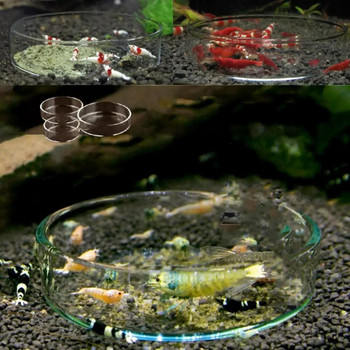 Стъклена чиния за хранене Храна за аквариумни рибки Кристална червена череша Скариди Кръгла хранилка