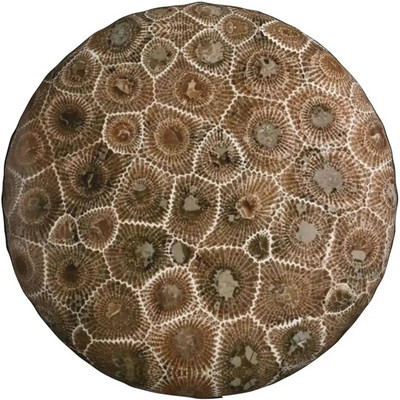 Petoskey Stone Print tartalék gumiabroncs burkolat vízálló univerzális kerékburkolat porálló gumiabroncs kerékvédő 14" 15" 16" 17"