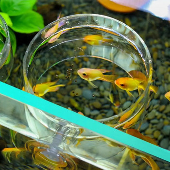 Кръгла самоплаваща се хранилка с фиксирана точка Издръжлива пластмасова квадратна хранилка за шаран, нетоксичен пръстен за хранене на риби Хранене за аквариум