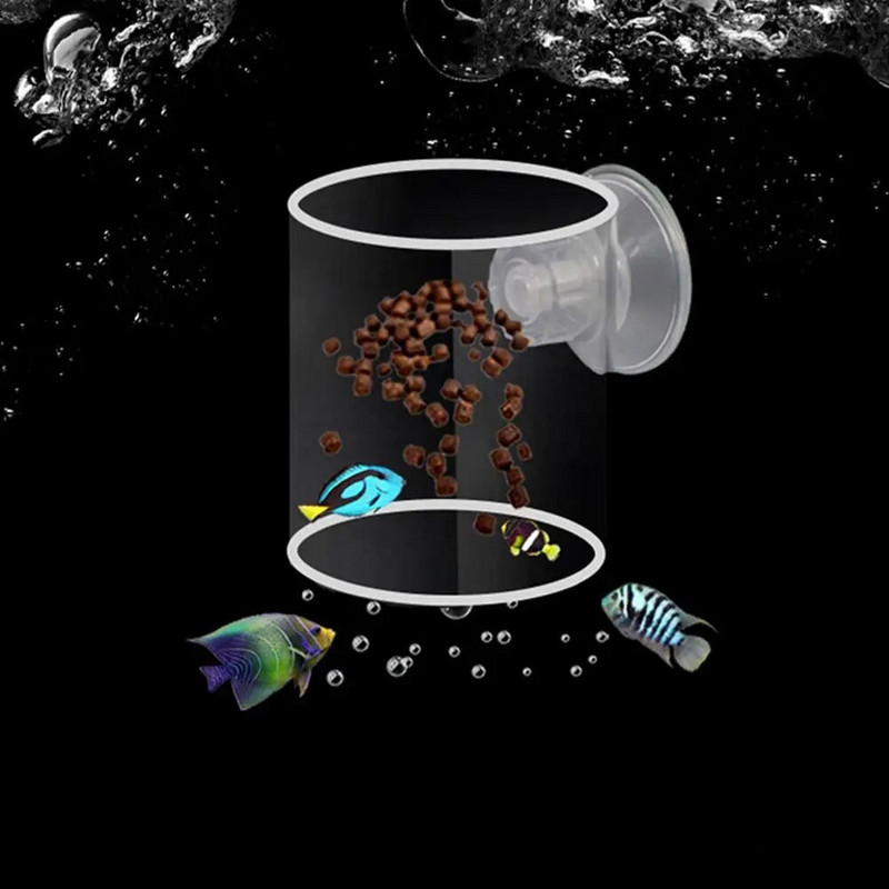 Apaļš peldošs fiksēta punkta padevējs Izturīgs plastmasas kvadrātveida karpu sērkociņu barotavas Netoksisks zivju barošanas gredzens akvārija barošana