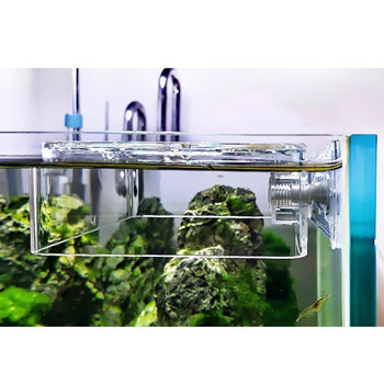 Aquarium Arcylic Square Float Feeder Ring Suction Cup Betta Fish Food Feeding Cup Shrimp Feeder for Plant Tank Fish Tank