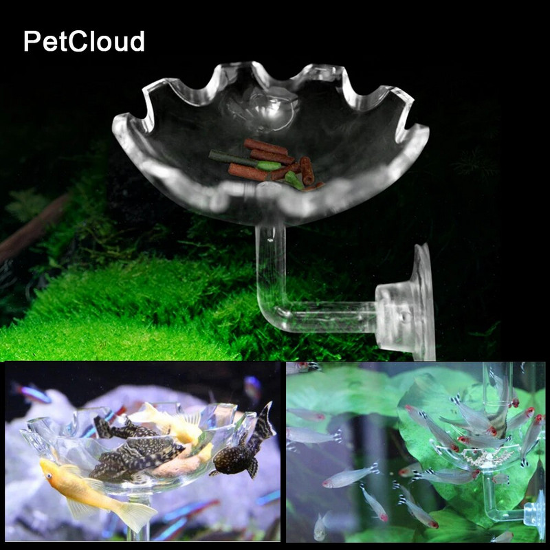 Zivju tvertnes garneļu trauka padeves paplāte caurspīdīga stikla barošanas caurule Trauka sūkšanas gaisa garneļu trauka padeves caurule akvārija piederumiem