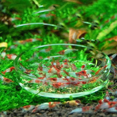 Стъклен фураж Прозрачен съд за хранене на скариди Хранене с храна Тава Кръгъл контейнер Купички за хранене на аквариумни риби Хранене на тропически риби Плъх
