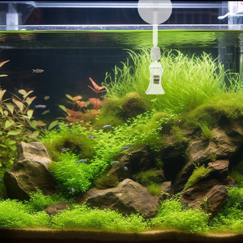 6 бр Аксесоари за аквариум Инструмент за хранене Стъклени водорасли Скоба за вендузи Аквариум