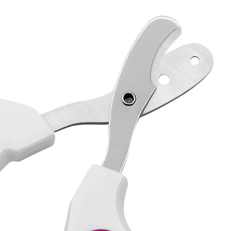 Professionaalsed lemmikloomade küünelõikuri küüniste hooldamise käärid väikestele koertele, kassidele, tarvikud