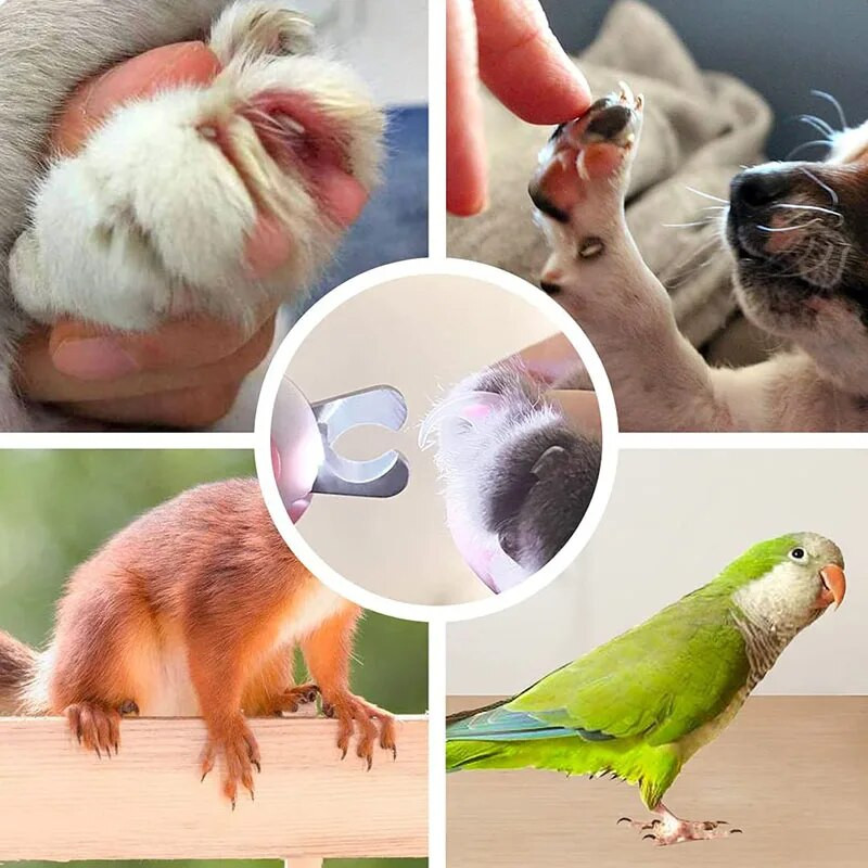 Led Dog nagu griezējs maziem un vidējiem suņiem kaķu griešanas šķēres kucēnu nagu grieznes kaķu suņu kopšanai nagu šķēres mājdzīvnieku piederumi