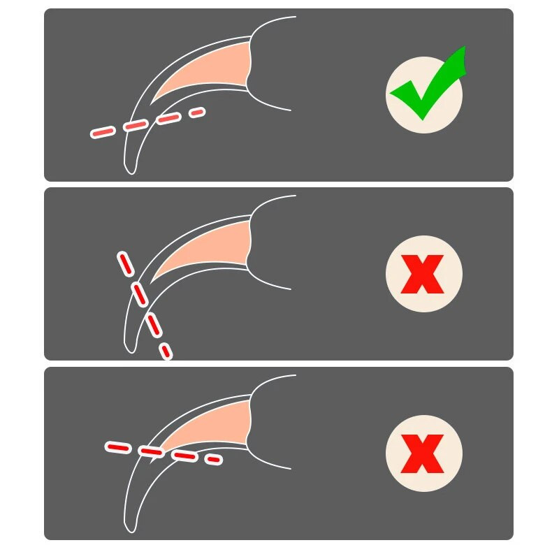 Profesionālas kaķu nagu šķēres Mājdzīvnieku suņu nagu griešanas mašīnas Pirkstu naglu trimmeris Mājdzīvnieku kopšanas piederumi Produkti suņiem Kaķu aksesuāri