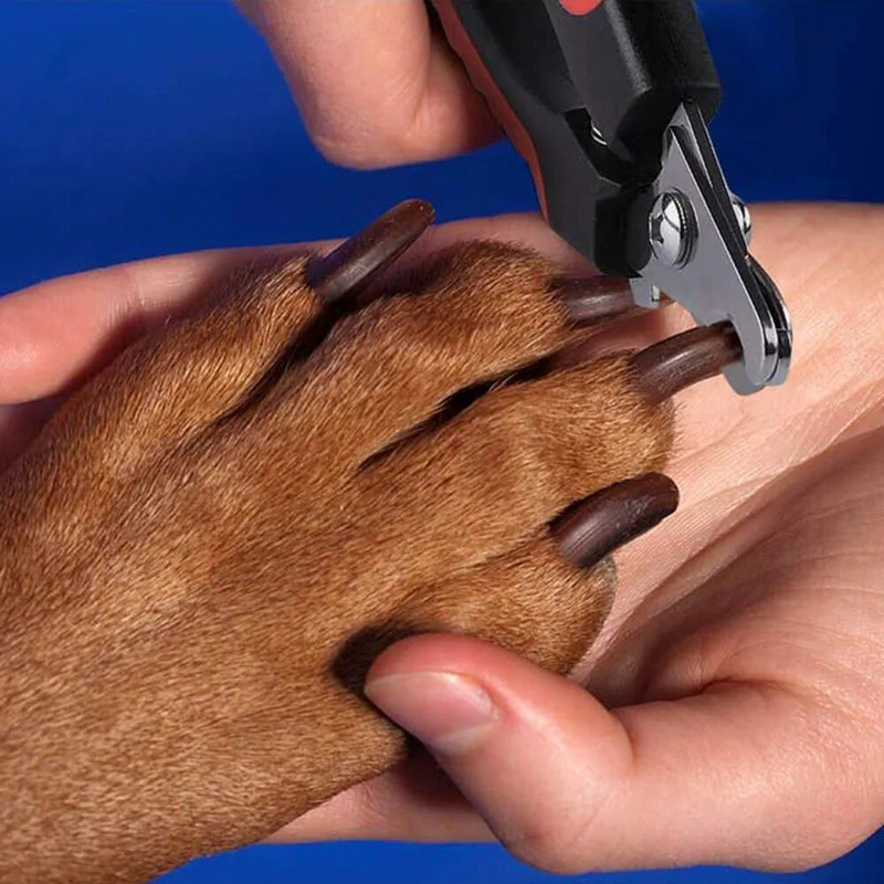 Škare za nokte za kućne ljubimce Mačke za velike pse i trimer za nokte Profesionalni alat za dotjerivanje zeca, zeca, pticu, štenca, mačića, tvora