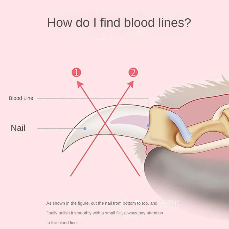 Profesionāls mājdzīvnieku nagu griezējs Sharp Safety Dzīvnieku kopšanas pirkstu trimmeris nerūsējošā tērauda pirkstu griezējs suņiem un kaķiem