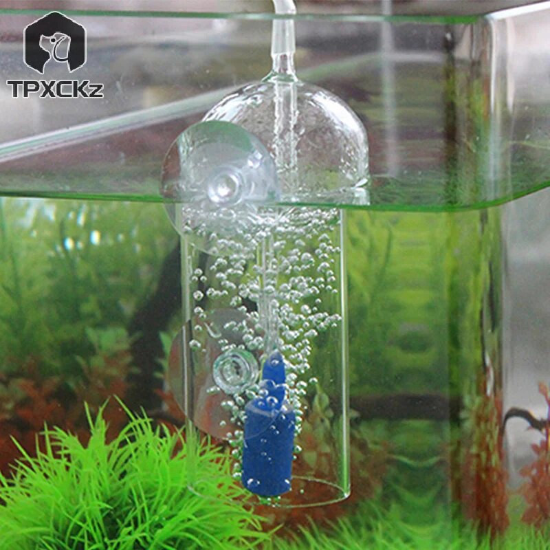 5/10 gab. akvārija cilindra forma, gaisa akmens minerālu burbuļi, izdalāmi zivju tvertņu pūslīši, gaisa akmens aerācijas aeratoru piederumi