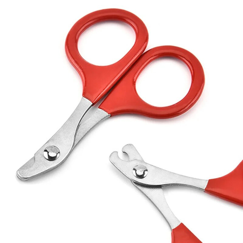 Lemmikloomade küünekäärid Kasside varbaküüskäärid Trimmer Lemmikloomahooldustooted Professionaalsed kasside küüntepuhastusvahendid väikestele kutsikatele