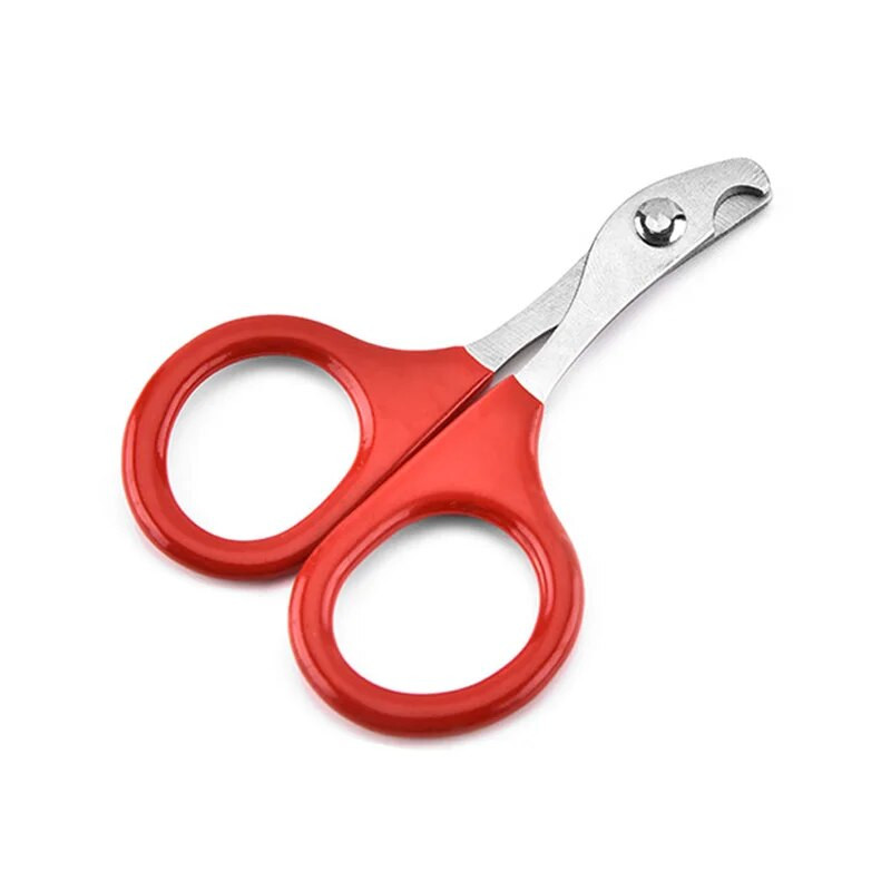 Lemmikloomade küünekäärid Kasside varbaküüskäärid Trimmer Lemmikloomahooldustooted Professionaalsed kasside küüntepuhastusvahendid väikestele kutsikatele