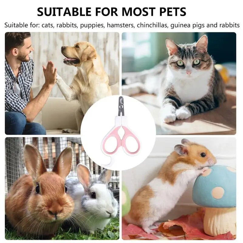 Popularni proizvodi Specijalizirani proizvodi za kućne ljubimce Psi Mačke Škare za nokte Mačke Mačke Krvna linija Novajlije Kunići Škare za nokte Nokti Kliješta za mačje kandže Pribor