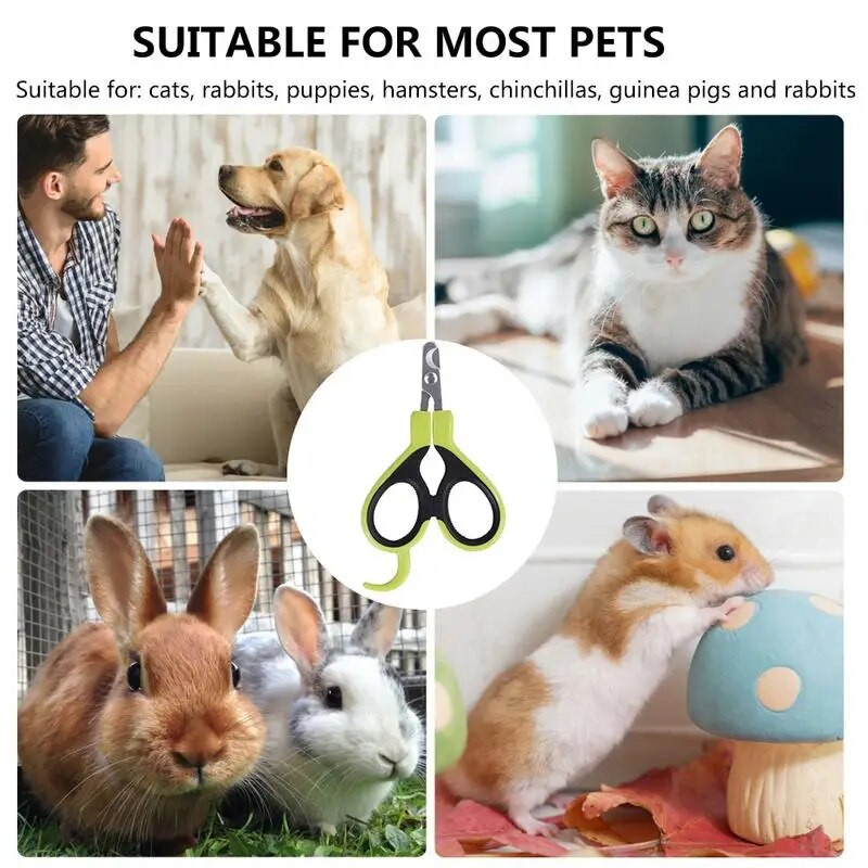 Popularni proizvodi Specijalizirani proizvodi za kućne ljubimce Psi Mačke Škare za nokte Mačke Mačke Krvna linija Novajlije Kunići Škare za nokte Nokti Kliješta za mačje kandže Pribor