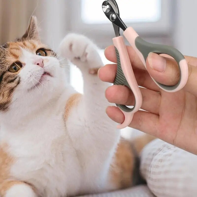 Csúszásmentes fogantyúk macska körömvágó olló, elkerülje a túlvágást kis kutyának, macskának, professzionális kölyökkutya körömvágó olló