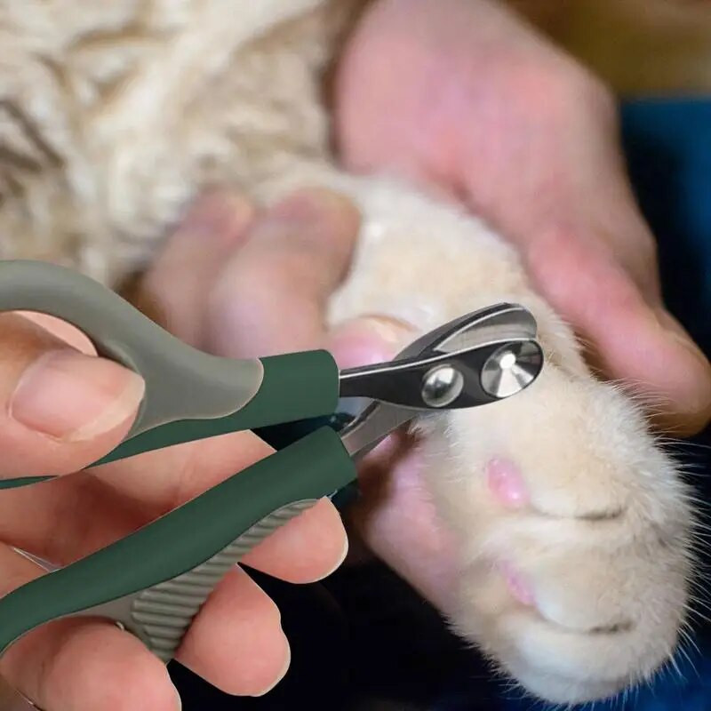Csúszásmentes fogantyúk macska körömvágó olló, elkerülje a túlvágást kis kutyának, macskának, professzionális kölyökkutya körömvágó olló