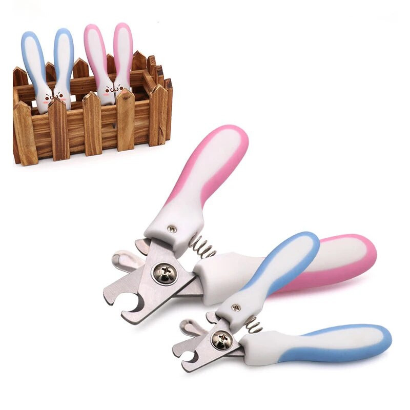 Suņiem un kaķiem Nagu grieznes kopšanai Šķēres Mājdzīvnieku suņu piederumi