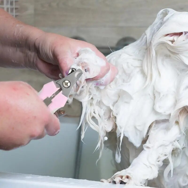 Macskakörömvágó Kölyök Körömvágó Kutyák Körömvágó Kisállatkellékek Kutyáknak Beltéri macskáknak Kölykök Kiscicák Kutyatartozékok