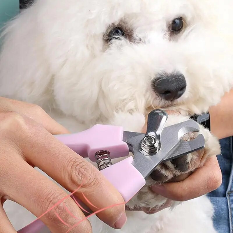Macskakörömvágó Kölyök Körömvágó Kutyák Körömvágó Kisállatkellékek Kutyáknak Beltéri macskáknak Kölykök Kiscicák Kutyatartozékok