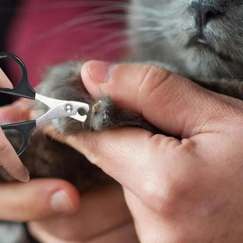 Ножици за котешки нокти Машинка за подстригване на нокти за домашни кучета Тример за пръсти на нокти Професионални продукти за подстригване на домашни любимци за малки кученца Котка