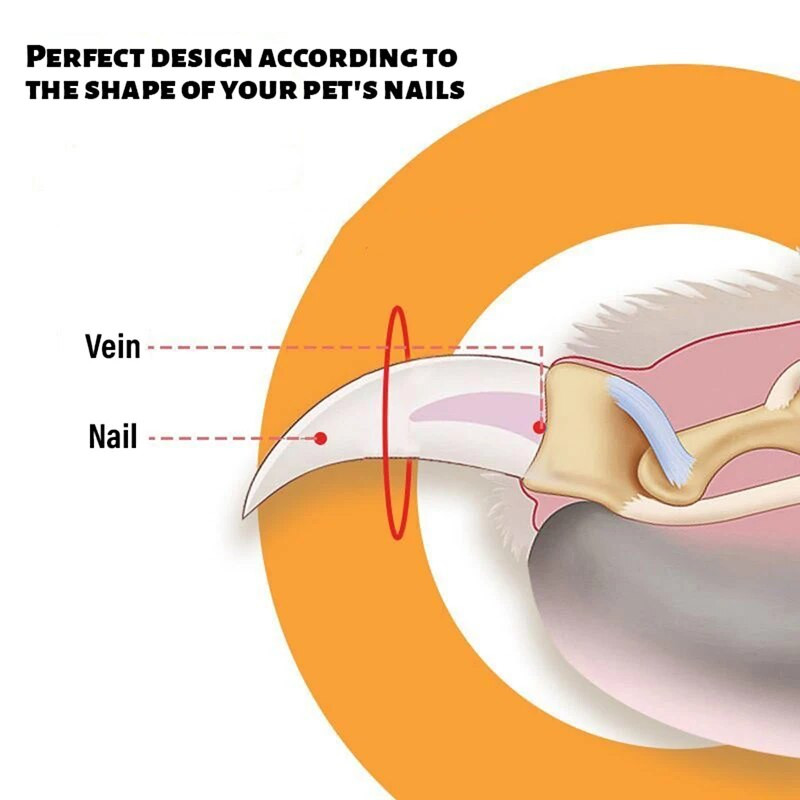 Νυχοκόπτη γάτας Αποτρέπει τις γρατσουνιές Νυχοκόπτη σκύλου Προϊόντα για κατοικίδια Ψαλίδι διπλής στρογγυλής τρύπας γενικής χρήσης για γάτες και σκύλους
