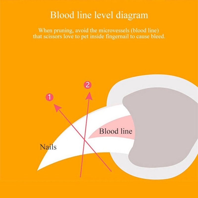 Nagu griezējs ar LED gaismu suņu kaķu mājdzīvnieku griešanas šķēres, kāju nagu grieznes