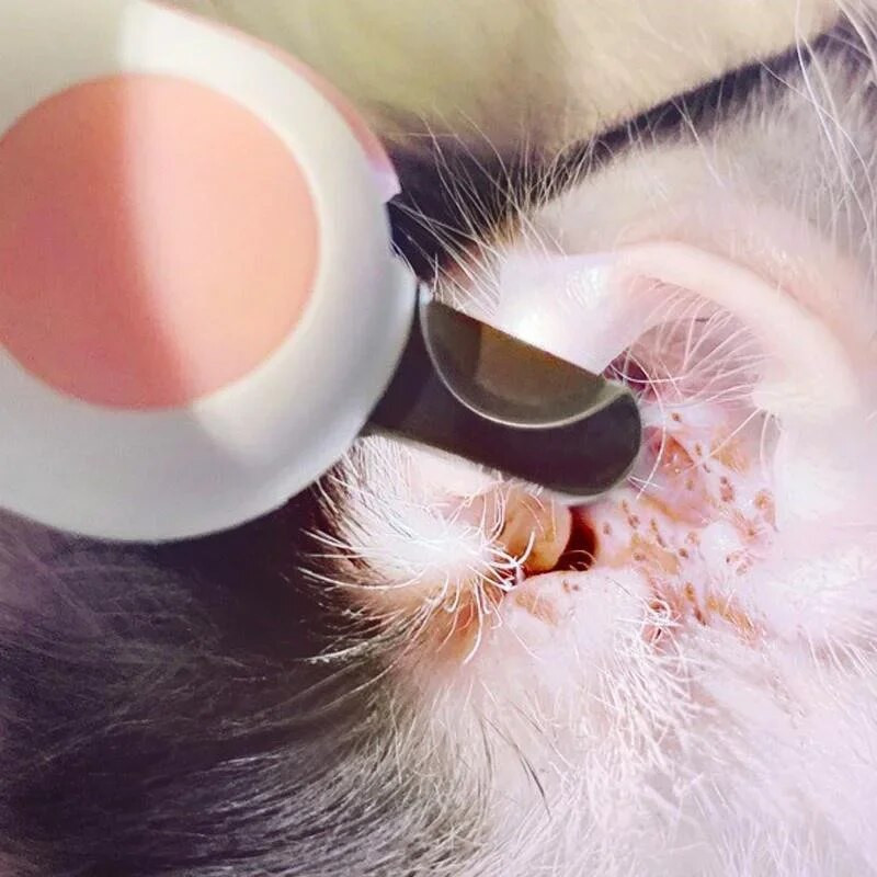 Professzionális kisállat körömvágó LED fény kisállat körömvágó köröm ápoló olló kistestű kutyáknak macskáknak ollók kutyatartozékok