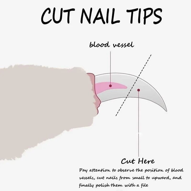 Mājdzīvnieku nagu griešanas mašīna suņu kaķu nagu griešanas mašīnas Mājdzīvnieku spīļu kopšana Mājdzīvnieku kopšanas piederumi когтерезка для котов