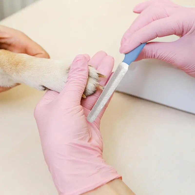 Lemmiklooma küüneviil kulumiskindel ja terav väike ja kaasaskantav, sobib koertele ja teistele väikestele lemmikloomadele kodus lihvimiseks