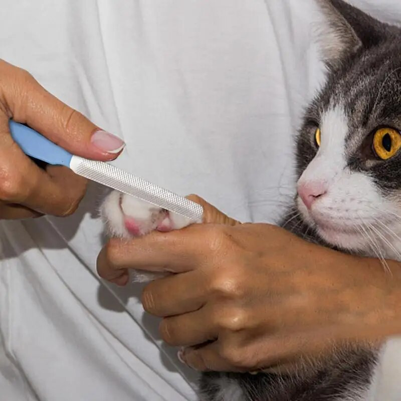 Lemmiklooma küüneviil kulumiskindel ja terav väike ja kaasaskantav, sobib koertele ja teistele väikestele lemmikloomadele kodus lihvimiseks