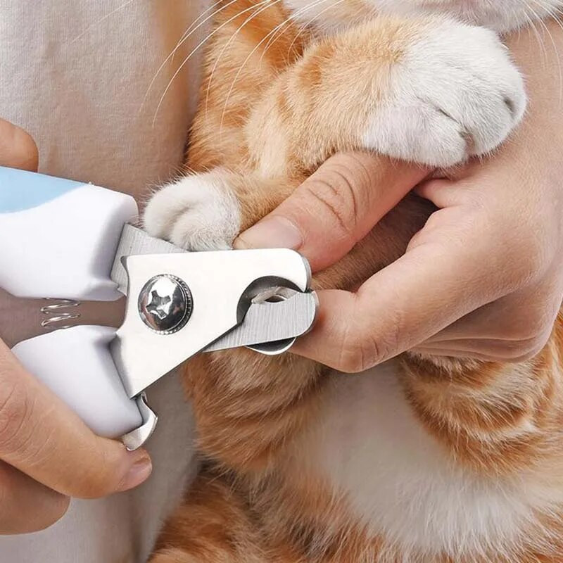 Mājdzīvnieku kaķu suņu nagu grieznes Nerūsējošā tērauda nagu šķēres Suņu kaķu nagu grieznes Mājdzīvnieku tīrīšanas instrumenti