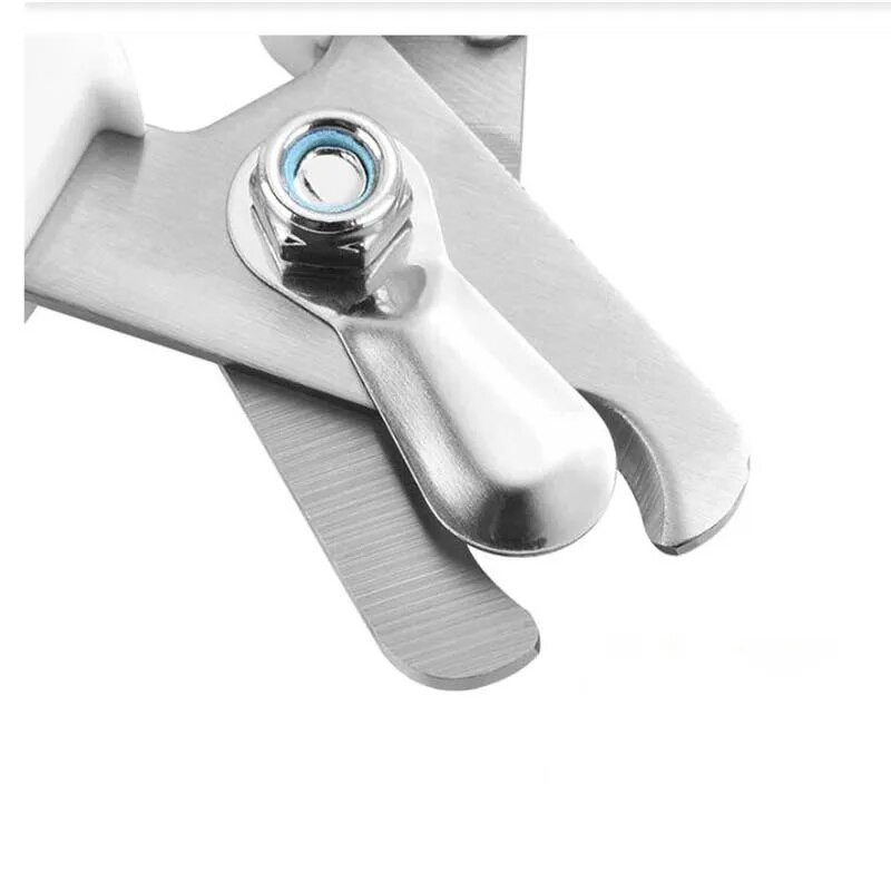 Mājdzīvnieku kaķu suņu nagu grieznes Nerūsējošā tērauda nagu šķēres Suņu kaķu nagu grieznes Mājdzīvnieku tīrīšanas instrumenti