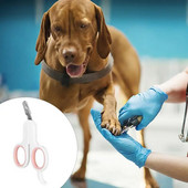 Επαγγελματικό νυχοκόπτη για κατοικίδια Νυχοκόπτες για σκύλους γάτα Περιποίηση νυχιών κατοικίδιων ζώων Περιποίηση νυχιών από ανοξείδωτο ατσάλι για σκύλους Προμήθειες για κατοικίδια με χάμστερ