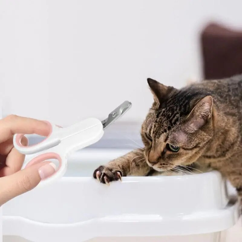 Επαγγελματικό νυχοκόπτη για κατοικίδια Νυχοκόπτες για σκύλους γάτα Περιποίηση νυχιών κατοικίδιων ζώων Περιποίηση νυχιών από ανοξείδωτο ατσάλι για σκύλους Προμήθειες για κατοικίδια με χάμστερ