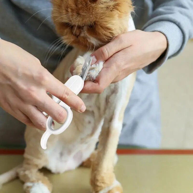 Επαγγελματικό νυχοκόπτη για κατοικίδια Νυχοκόπτες για σκύλους γάτα Περιποίηση νυχιών κατοικίδιων ζώων Περιποίηση νυχιών από ανοξείδωτο ατσάλι για σκύλους Προμήθειες για κατοικίδια με χάμστερ