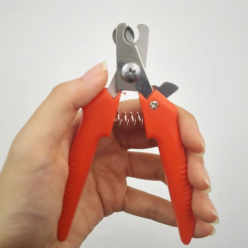 Nerūsējošā tērauda galva Kaķi Suņi Nagu griezēji Trimeris Mājdzīvnieku nagu nagu kopšanas Šķēres Griezējinstrumenti ar slēdzeni