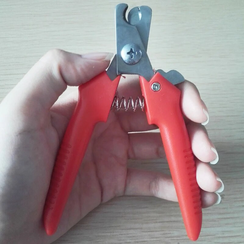 Nerūsējošā tērauda galva Kaķi Suņi Nagu griezēji Trimeris Mājdzīvnieku nagu nagu kopšanas Šķēres Griezējinstrumenti ar slēdzeni